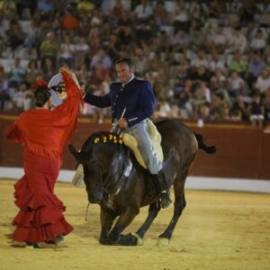 entrada espectaculo festival del arte arte ecuestre de agosto sotillo de la adrada