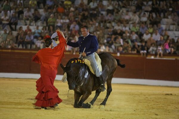 entrada espectaculo festival del arte arte ecuestre de agosto sotillo de la adrada
