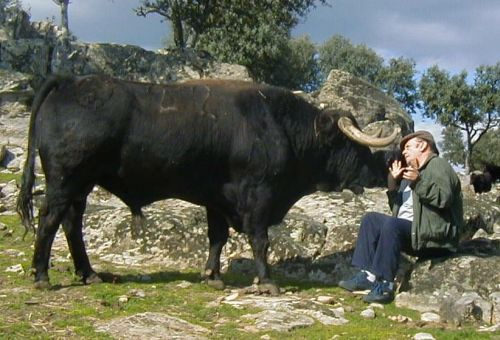 Romerito y Antoñete