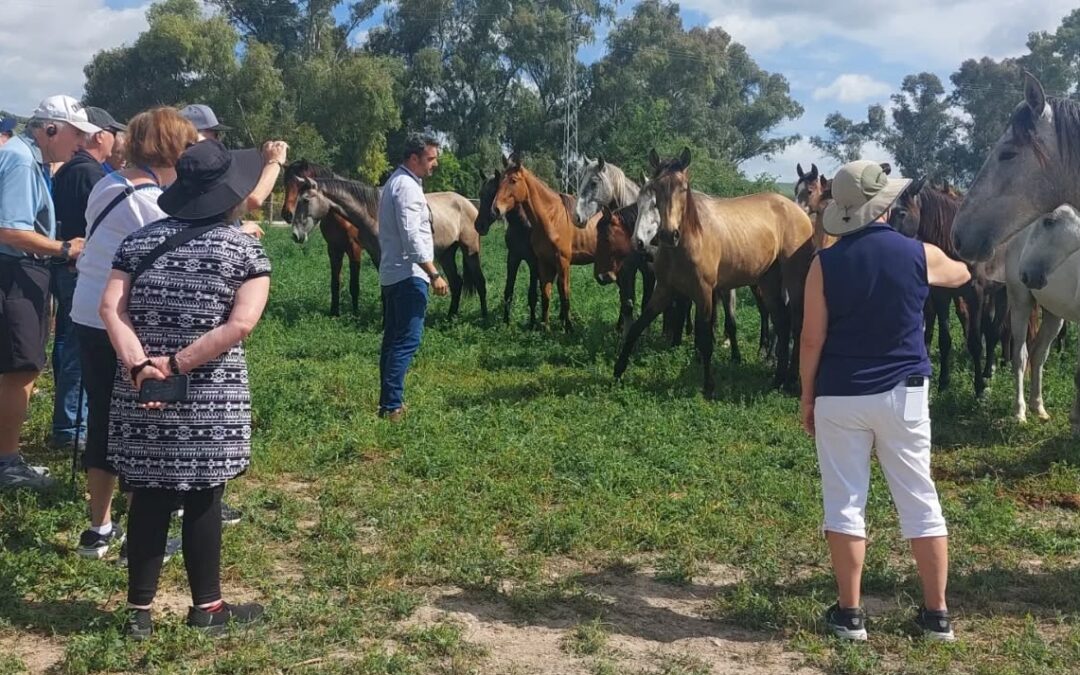 Dehesa Fuenreal un nuevo espacio para montar a caballo y conocer la dehesa