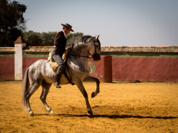 Reportaje Ganadería Ramón Sánchez